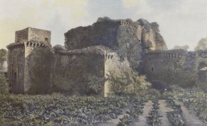 Tiffauges, ruinerna av slottet, utsikt tagen från gården av French Photographer