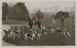 Tom Firr and the hounds of the Quorn Hunt, Leicestershire (färgfoto) av French Photographer