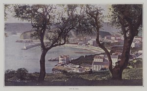 Utsikt över Nice (färgfoto) av French Photographer