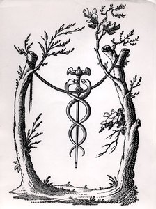 I Caduceus av French School