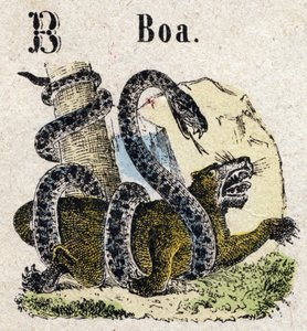 Abecedary. Bokstaven B som Boa. Litet encyklopediskt alfabet, populär serie. Epinal avbildning, sent 1800-tal av French School