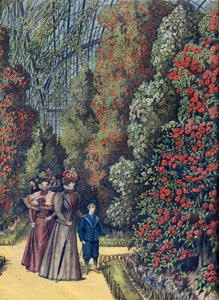 Acklimatiseringsträdgård - la serre des camelias - Kameliaväxthus i en botanisk trädgård av French School