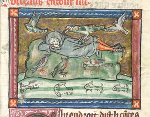 Lägg till. 10292, f.29 En sovande man omgiven av fåglar, illustration från 