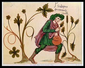 Aesculapius upptäcker betoni, faksimil av ett manuskript av Antonius Musa (63 f.Kr.-14 e.Kr.) (se 235101 för original) av French School