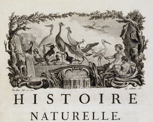 Allegory of Natural History on Birds - i "" Natural, General and Particular History"" av Buffon av French School
