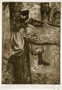 En algerisk skarpskytt på jobbet i skydd av en skog, 1914-19 av French School