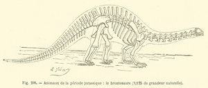 Djur från juraperioden, Brontosaurus (gravyr) av French School