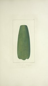 Aztec Axe, illustration från "Views of the Cordilleras and Monuments of the Native Peoples of America" ​​av Alexander von Humboldt och Aime Bonpland av French School
