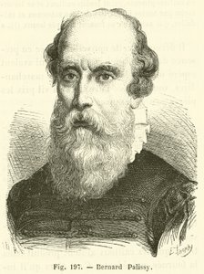 Bernard Palissy (gravyr) av French School