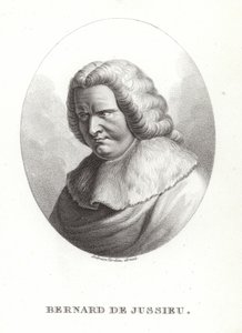 Bernard de Jussieu av French School