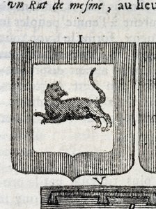 Blazon från det italienska infanteriregementet i "" La Vraye and Perfect Science of Arms or the Armorial Index"" av Pierre Palliot av French School