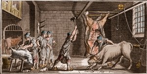 Boucher - Butchery - Butchery - "" The Great Encyclopedia, eller Dictionnaire Raisonne des Sciences, des Arts et des Metiers" (Encyclopedia or Dictionary of the Sciences, Arts and Professions) av Denis Diderot (1713-1784) och Jean d