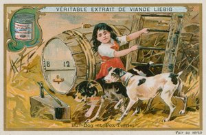 Bulldog och Fox Terrier av French School