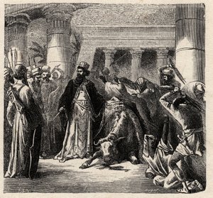 Cambyses II, härskare över de akemenidiska perserna dödar Apis, egyptiernas heliga tjur - Cambyses eller Cambyse II (530-522 f.Kr.) gravyr från "" L