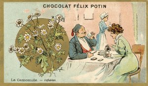 Kamomillte