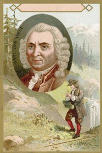 Carl Linnaeus, svensk botaniker och zoolog av French School