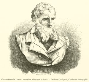 Charles-Alexandre Lesueur, naturforskare, född och död i Le Havre (gravyr) av French School