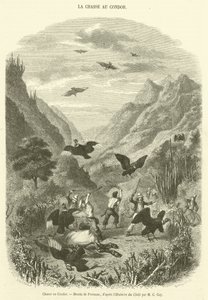Condor Hunt (gravyr) av French School