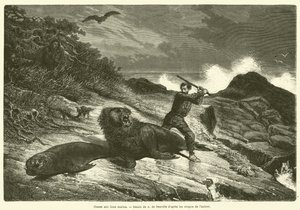 Sea Lion Hunt (gravyr) av French School