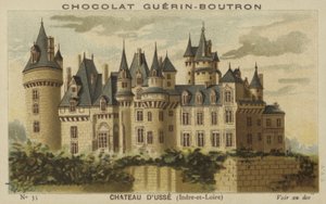 Slottet dUsse, Indre-et-Loire av French School