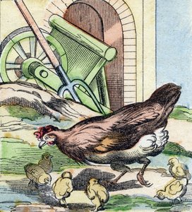 Kyckling och kycklingar. Gravyr i "Buffon Alphabet des Oiseaux n 2". 3:e Serie N 2. Avbildning av Epinal, Epinal, sent 1800-tal. 16 sidor. Mått: 28x21cm av French School