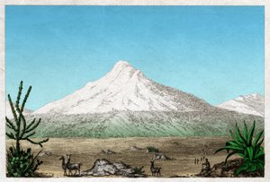 Chimborazo vulkan. (gravyr, ca 1840) av French School