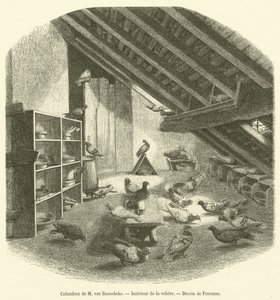 Colombier de M van Roosebeke, Interieur de la voljär (gravyr) av French School