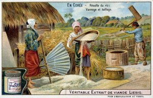 Coree: risskörd, vävning och tröska - chromo. Liébig, v.1900 av French School