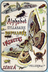 Omslag till "Syllabary alfabetet av fjärilar och insekter"". Serie A. Pellerin et Cie, tryckare-förlag, Epinal, sent 1800-tal. Kromolitografier. Litet 8-sidigt reklamalbum som innehåller en kursplan och ett bildspråk tillsammans med beskrivande texter. D av French School