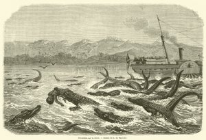 Crocodiles on the Chire (gravyr) av French School