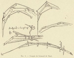 skiss av Leonardo da Vinci av French School