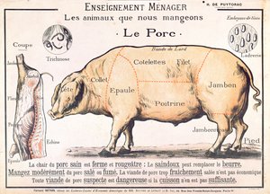 Cuts of Pork, illustration från en fransk inhemsk vetenskapsmanual av H. de Puytorac, utgiven av Editions Fernand Nathan, sent 1800-tal