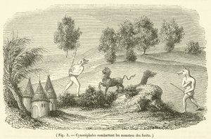 Cynocephales som slåss mot skogsmonster (gravyr) av French School