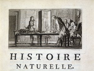 Dissekering av djur - i "" Naturlig, allmän och speciell historia"" av Buffon av French School