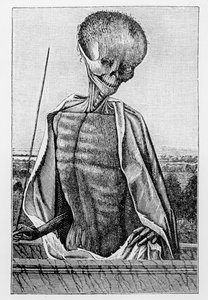 Doctor Death, från en bok med timmar, illustration från vetenskap och litteratur under medeltiden och renässansen, skriven och graverad av Paul Lacroix, 1878 av French School