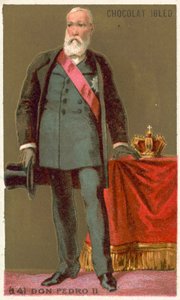 Don Pedro II, Brasiliens kejsare av French School