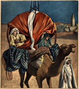 Dromedary använder som transportmedel. Tunisien, Afrika av French School