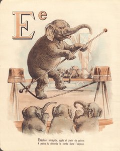 E: Elefant, ekvilibristisk orädd elefant, smidig och full av nåd, slappnar knappt av repet i rymden av French School