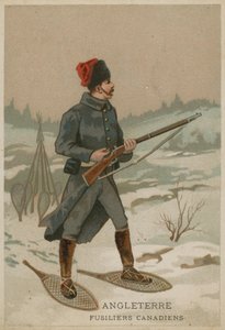 England - Kanadensiska Fusiliers av French School