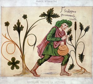 Esculapus hittar betoneum (läkeväxt) av French School