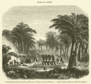 Tillverkning av palmolja i Whyda, Guinea, Slave Coast (gravyr) av French School