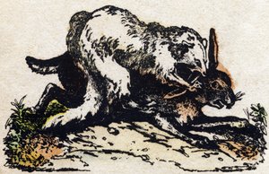 Snoka. Gravyr i "" Alphabet des animaux sauvages"". 9:e serien. Bildspråk av Epinal, Pellerin, tryckare-förlag, cirka 1870. Gravyrer på trä, stencilerade. 16 sidor. Mått: 20 x 15 cm. Privat samling av French School