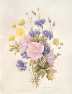 Fältblommor, 1842 (wc på papper) av French School