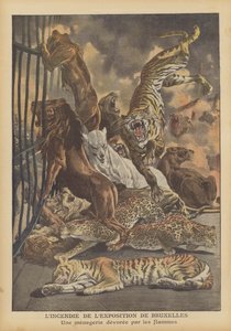 Brand vid Bryssels internationella utställning 1910 (färg litho) av French School