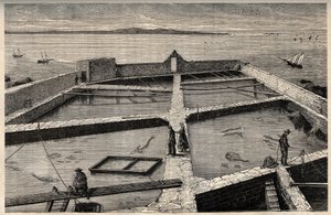 Fiskodling i Concarneau - Bretagne - Establishment de pisciculture - Concarneau - Finistere - Bretagne - gravyr i "" PATRIE" - PICTUREQUERESSE BESKRIVNING AV FRANKRIKE I 6 VOLYER AV LUCIEN HUARD - slutet av 1800-talet av French School