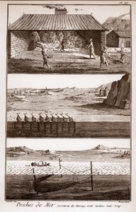 Fiske, sill och sardiner - Peches de Mer - Sorretterie des herring et des sardines - "" La Grande Encyclopédie, ou Dictionnaire Raisonne des Sciences, des Arts et des Metiers"" (Encyclopedia or Dictionary of the Sciences, Arts and Professions) av Deni av French School