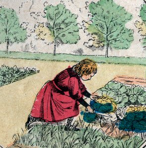 Fransk tro: En liten flicka, som tror att bebisar föds i kål eller rosor, skär groddarna från en grönsaksträdgård - Epinal bild - 1800-talet (gravyr) av French School