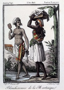 Franska kolonier: blekmedel från Martinique till Västindien. Gravyr från 1805. Chartres, konstmuseet av French School
