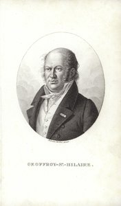 Geoffroy Saint-Hilaire av French School