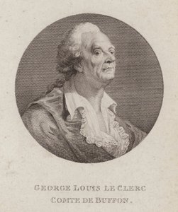 Georges-Louis Leclerc, Comte de Buffon, fransk naturforskare (gravyr) av French School